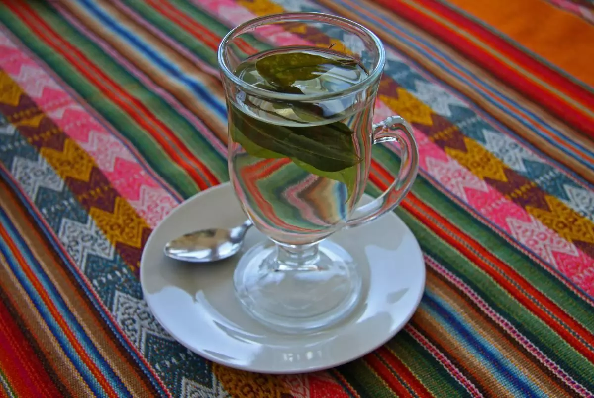 Cup of coca tea