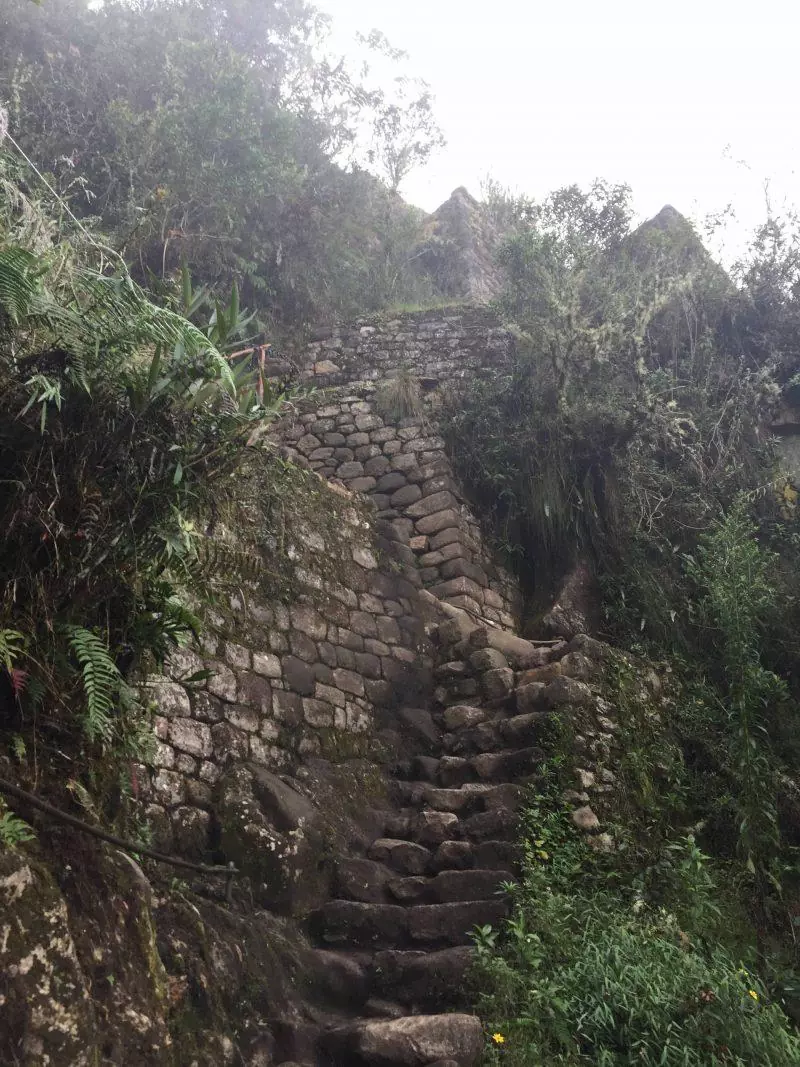 Stairs in Huayna Picchu