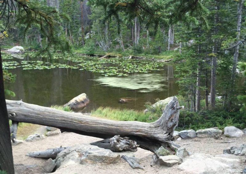 View of Nymph Lake through the trees