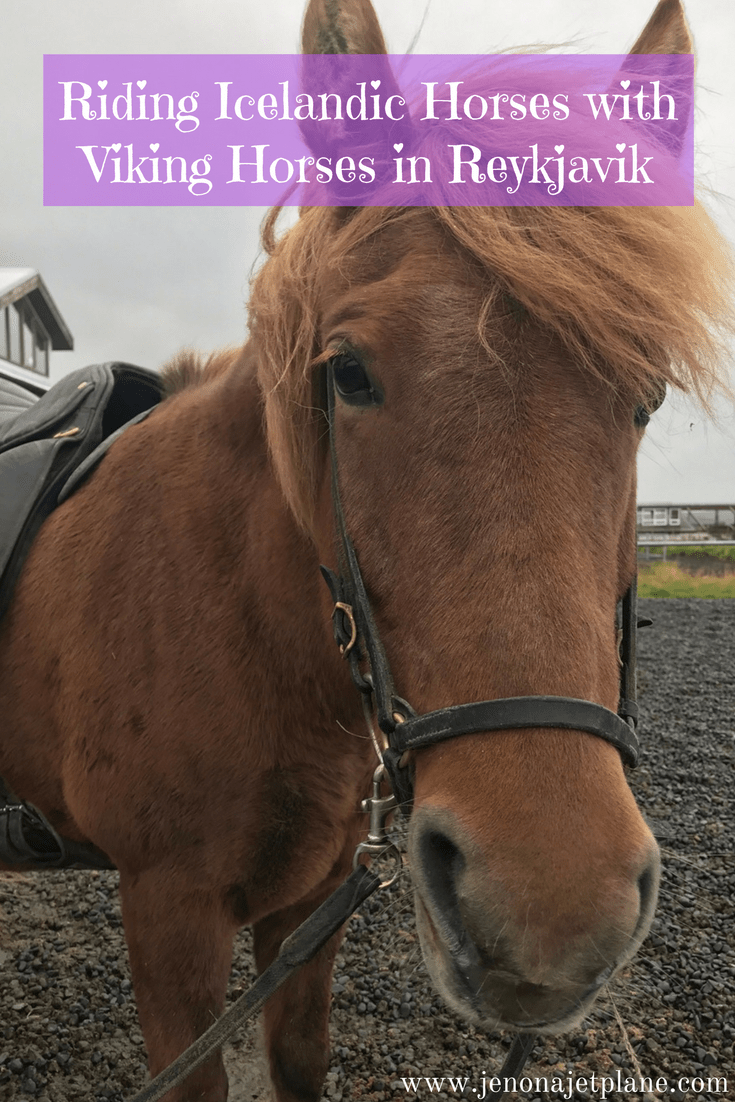 Viking Horses provides horseback riding tours in Reykjavik, Iceland. Explore other-wordly landscapes on your 2 hour plus experience! Save to your travel board for inspiration, this is the best horseback riding tour in Iceland.