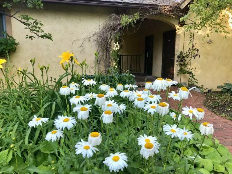 Flowers outside the room at the Mirbeau Inn and Spa