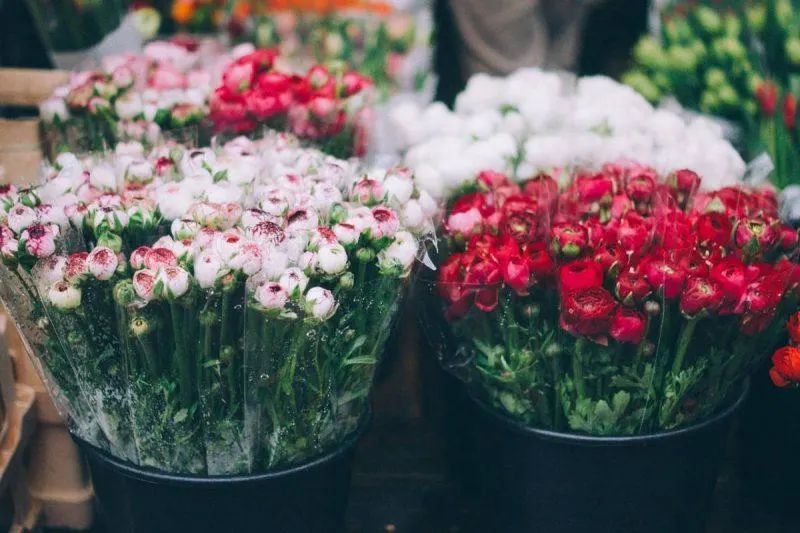 Flowers for sale at Byron Bay markets