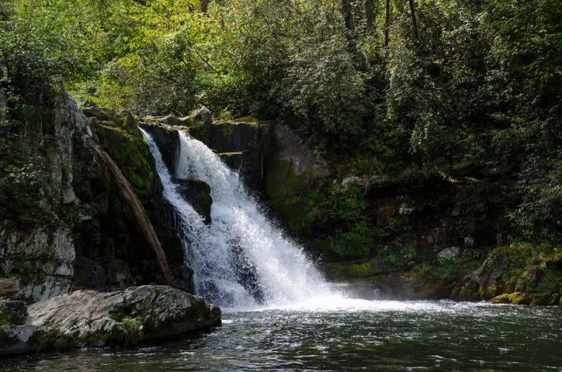 Waterfall flowing into a stream