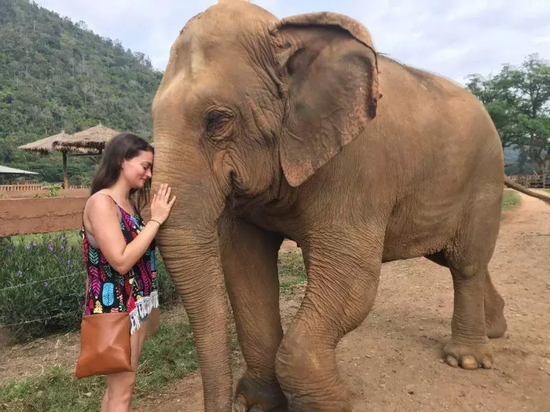 Touching moment face to face with an elephant