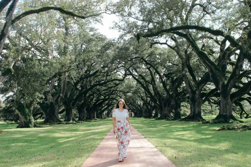 Walking down the path at Oak Alley Plantation