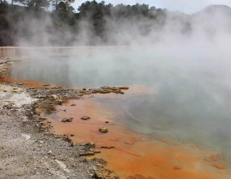 Champagne Pool