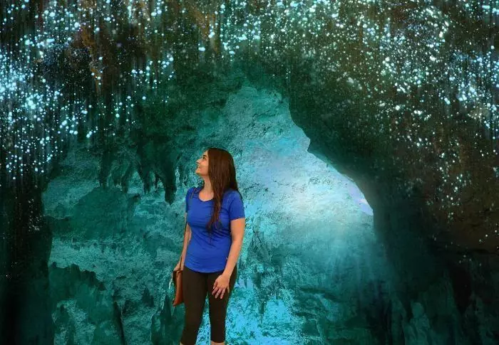 Waitomo glowworm caves picture 