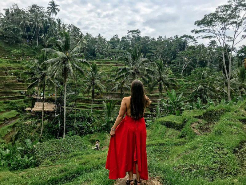 Looking out over the rice terraces of Ubud
