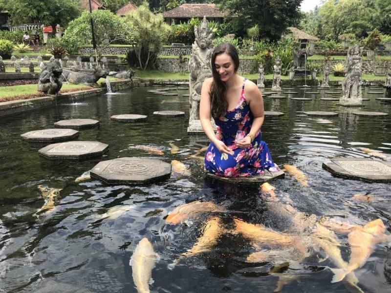 Feeding the koi fish at the water palace