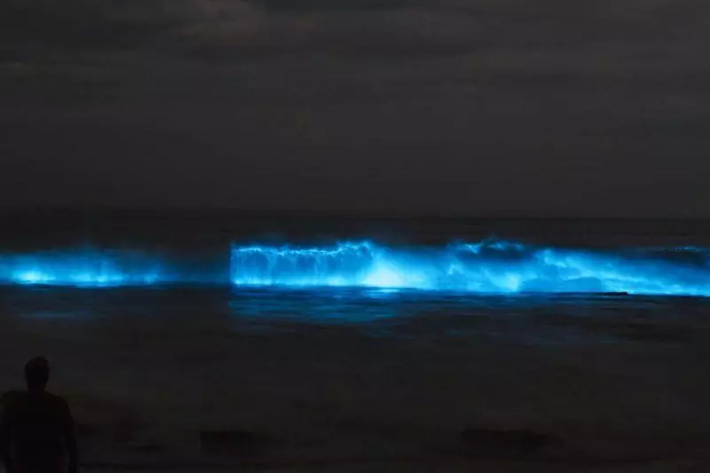 Waves lit up at night