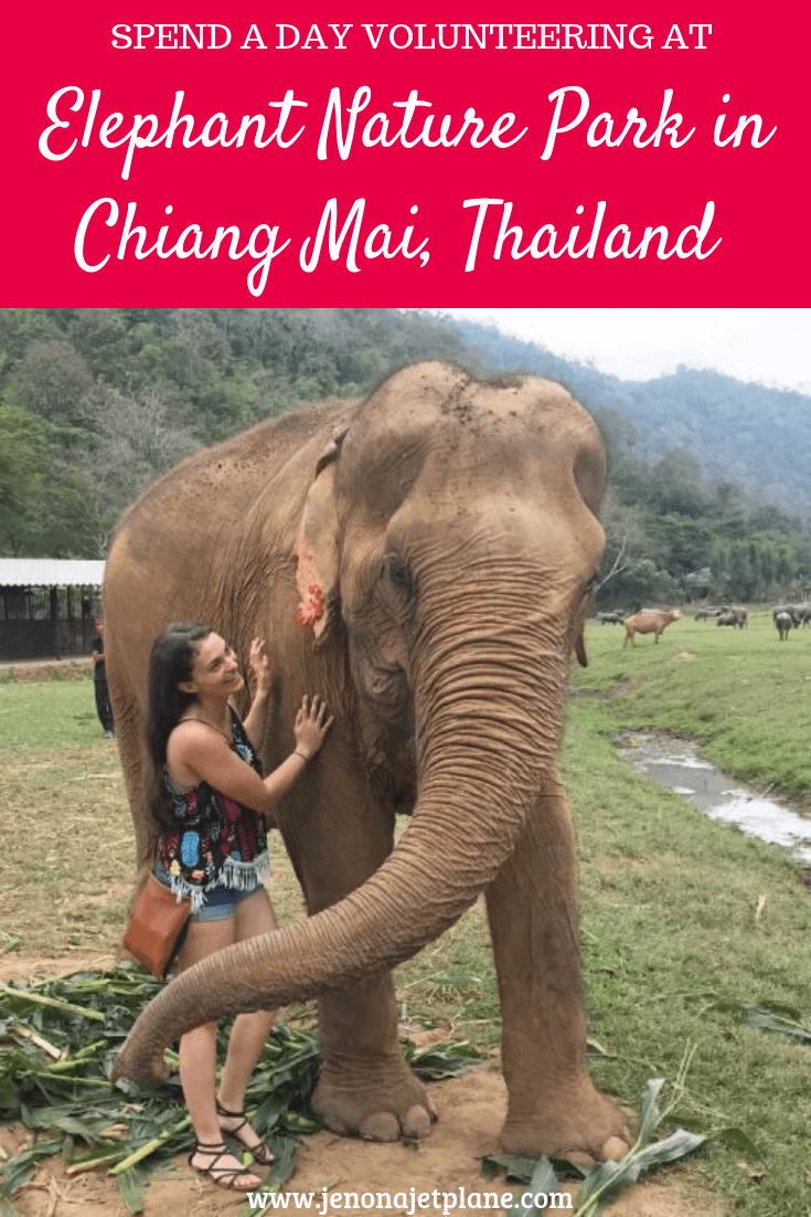 Looking for the best elephant sanctuary in Chiang Mai, Thailand? Elephant Nature Park is a highly awarded rescue where the focus is on the elephants not the visitors. Their mission is to end the practice of riding and exploiting elephants by educating the public. Save to your travel board for inspiration. #elephantnaturepark #elephantnatureparkchiangmai #elephantnatureparkthai