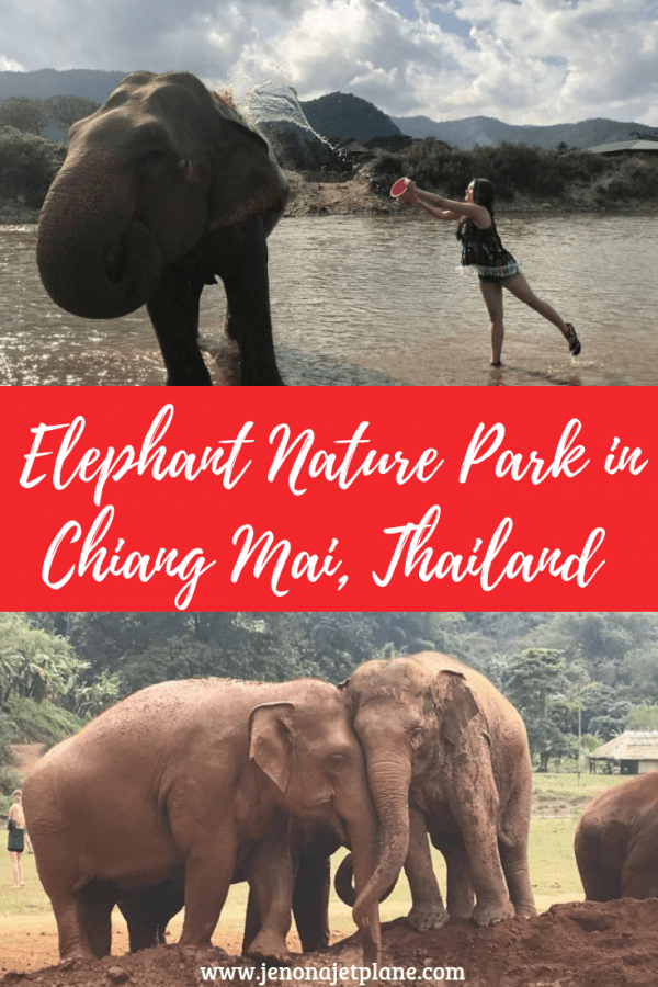 Visiting Elephant Nature Park The Best Elephant Sanctuary in Chiang