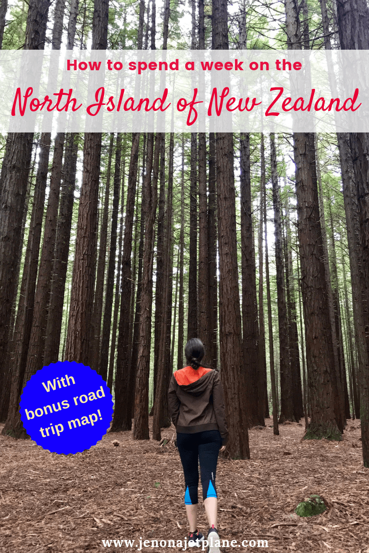 Want to know how to spend one week in the North Island of New Zealand? From redwood forests to glowworm caves, here's everything you can't miss -- self-guided road trip map included! Save to your travel board for future reference. #newzealand #newzealandnorthisland #newzealandtravel #thingstodoinNewZealand #travelnewzealand