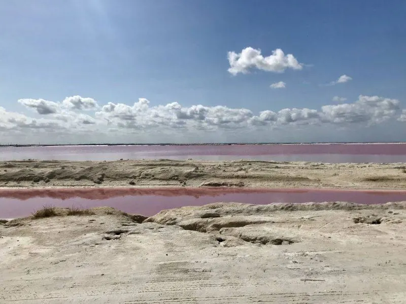 View of Las Coloradas on the drive in