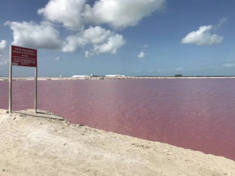 No swimming sign in Las Coloradas