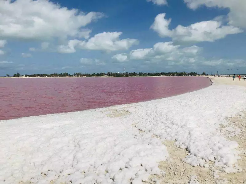 Bright view of the pink lakes