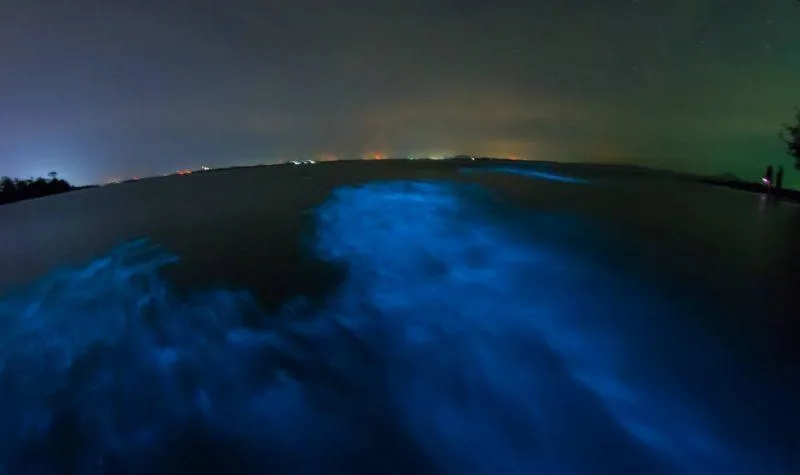 Blue-green glow of Vieques Bioluminescent Bay 