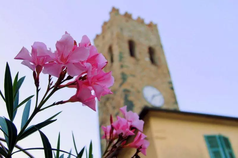 Flowers in front of a church in Cinque Terre