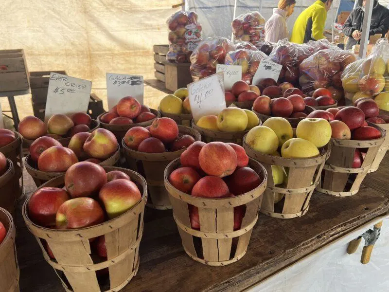 Bushels of apples on table for sale