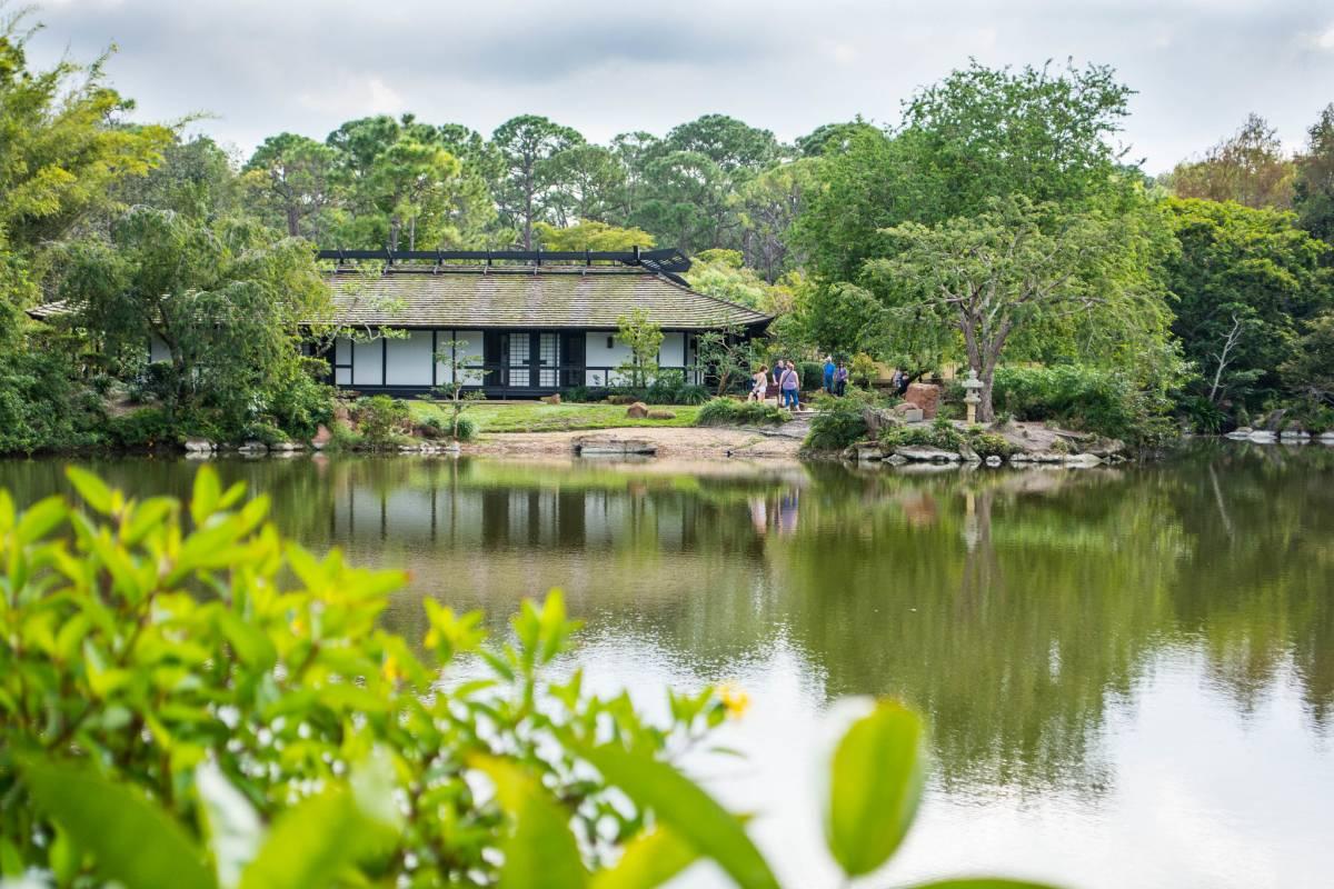 Japanese house and gardens