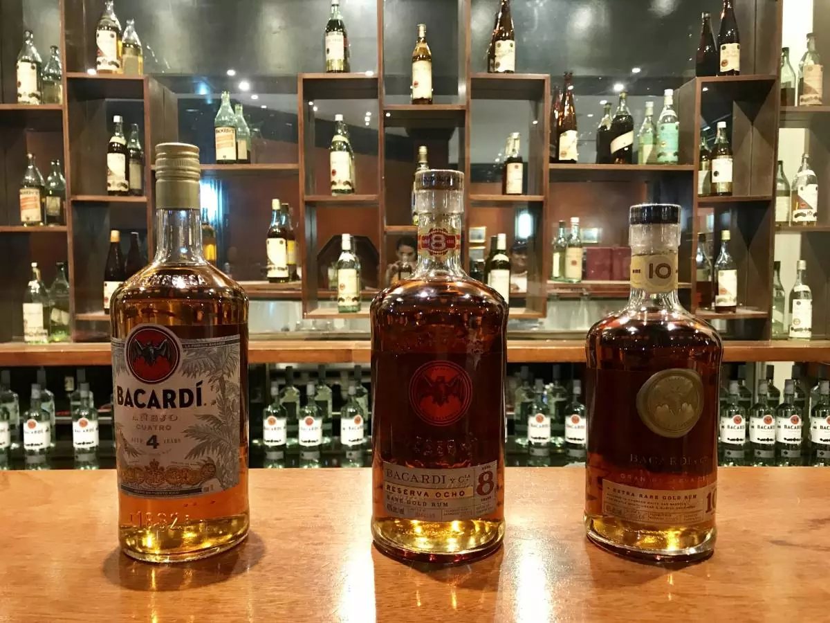 Visiting Casa Bacardí: A Review of the Bacardi Factory in Puerto Rico ...