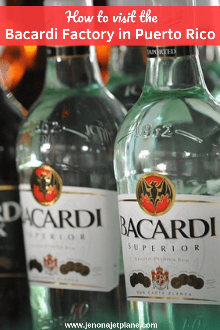 bacardi factory puerto rico tour