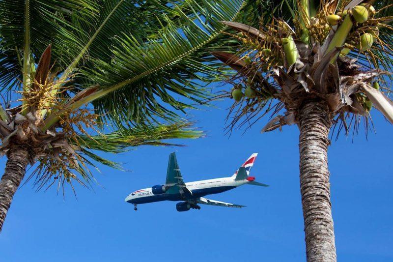 Airplane flying between two palm trees