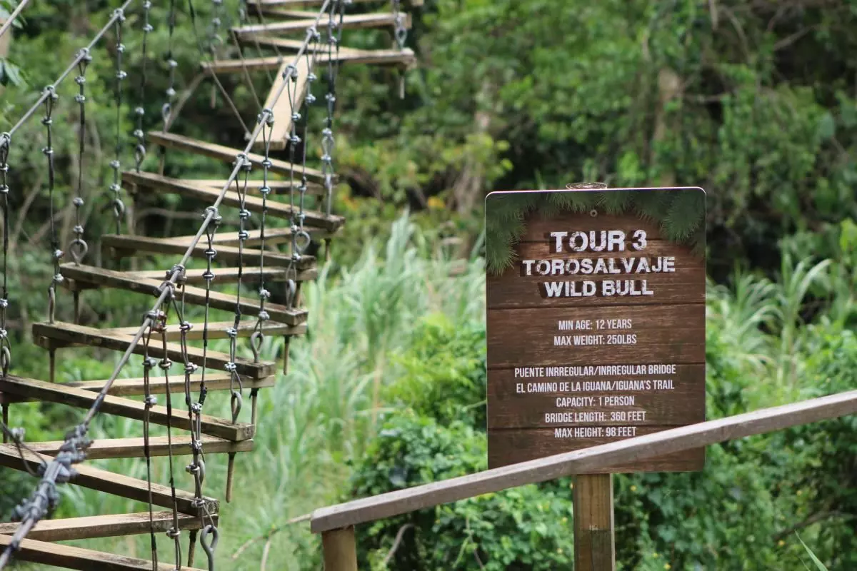 Toro Verde Puerto Rico Trail