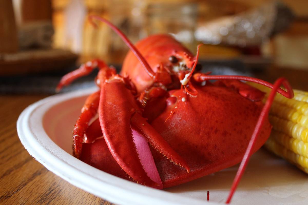 Travel Bloggers Weigh In: Where to Find the Best Lobster in Portland, Maine