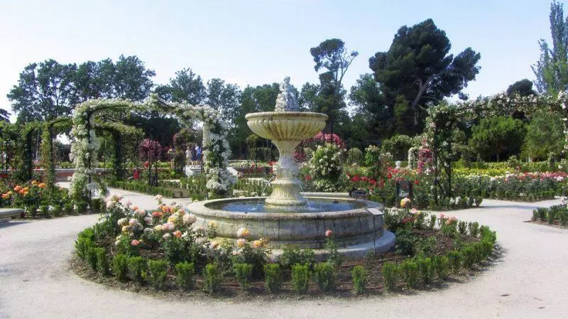 Decorative gardens
