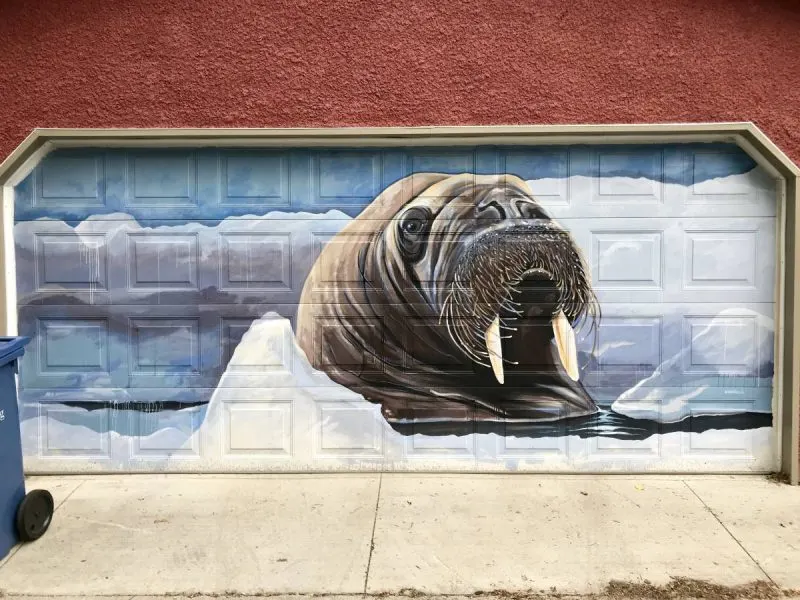 Walrus street art on garage door