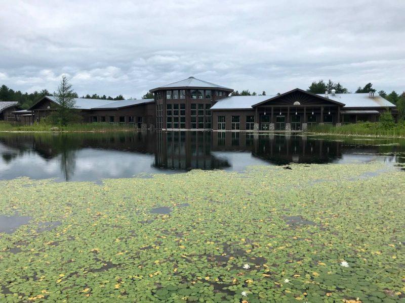View of the Wild Center from being with waterlily pond