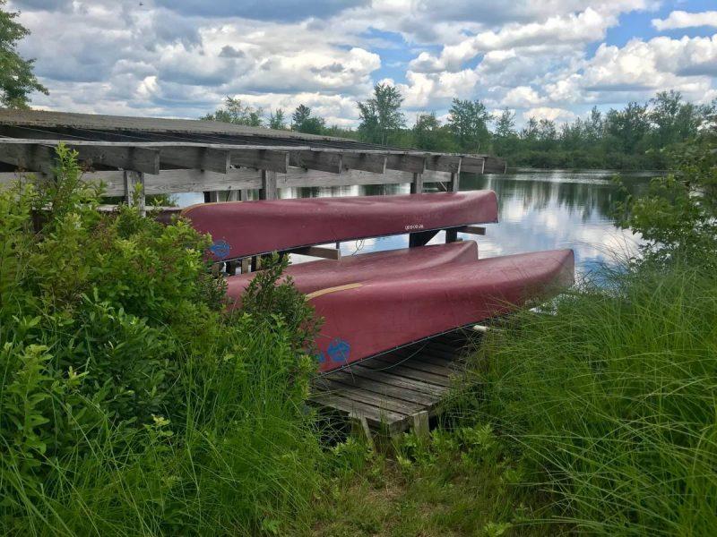 Pink canoes by the river