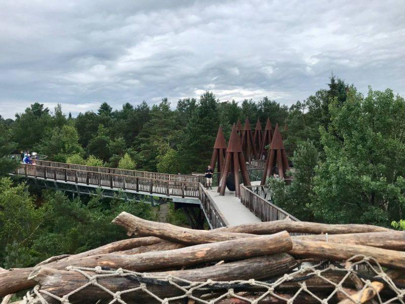 View of the Wild Walk and surrounding trees at the Wild Center