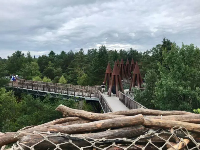 View of the Wild Walk from the Bird's Nest