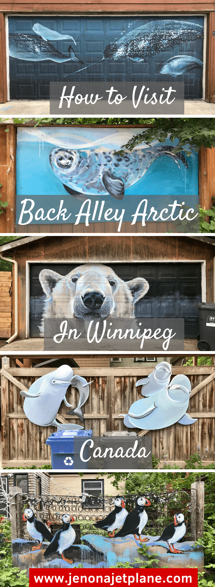 This street art installation is unlike any other, painted on garage doors and raising awareness about climate change. Learn all about Back Alley Arctic in Winnipeg, Canada! #Winnipeg #streetart #Arctic #climatechange #graffitiart 