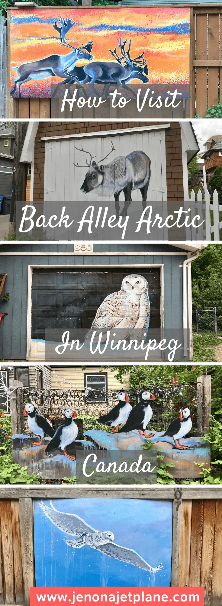 This street art installation is unlike any other, painted on garage doors and raising awareness about climate change. Learn all about Back Alley Arctic in Winnipeg, Canada! #Winnipeg #streetart #Arctic #climatechange #graffitiart 