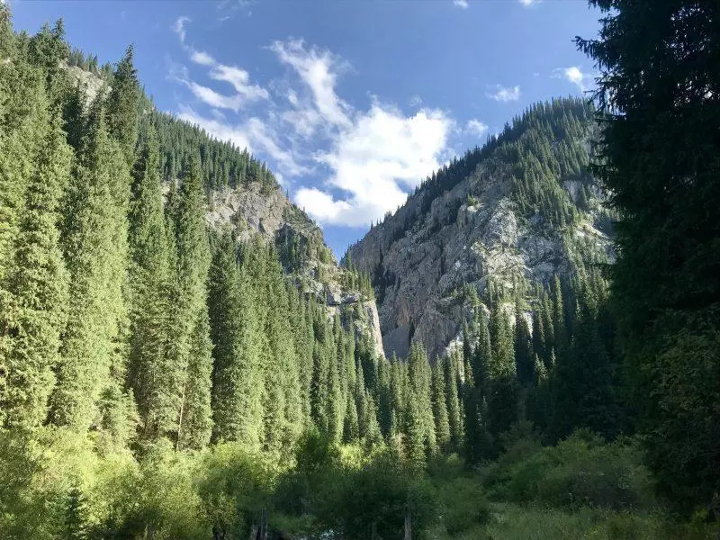 Kaindy Lake Kazakhstan