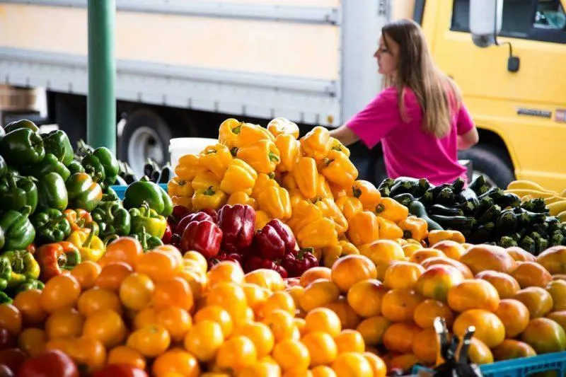 Woman shopping at farmer's market 