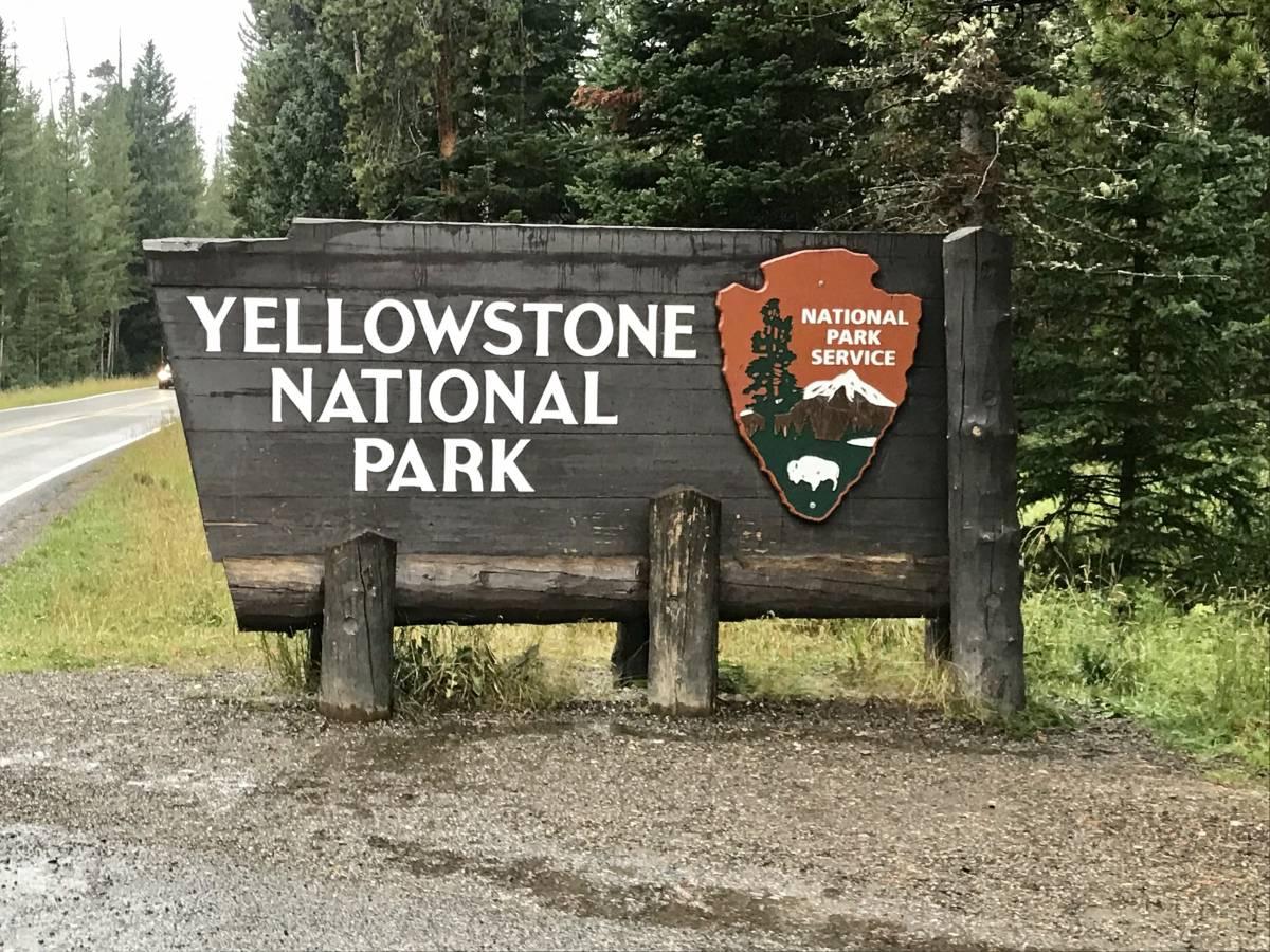 Into the Wild: The Ultimate Guide to Planning Your Yellowstone Itinerary