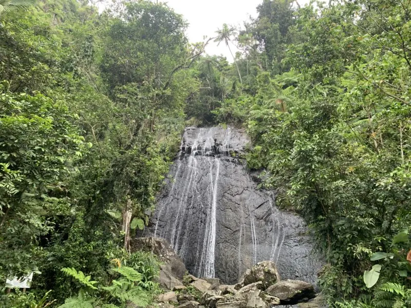 Day trips from San Juan Coca Falls El Yunque