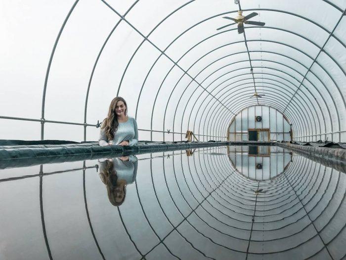 12 fun things to do in charleston wv from artwalks to appalachian salt