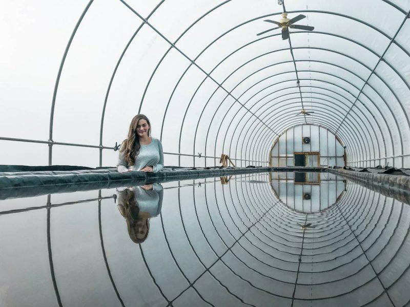 12 Fun Things to do in Charleston, WV From ArtWalks to Appalachian