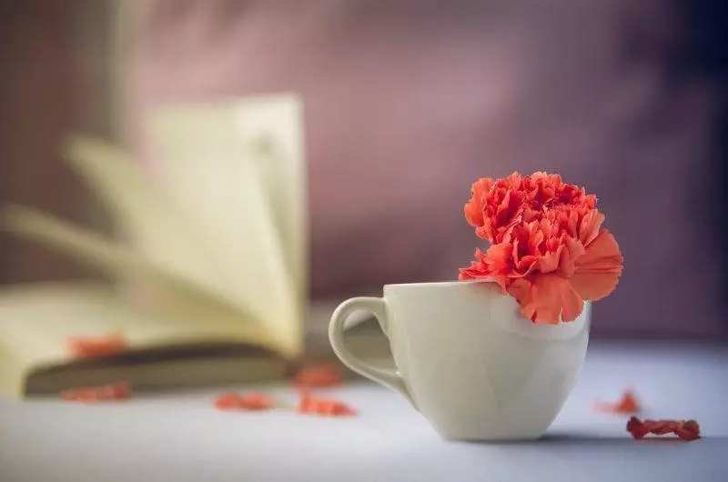 coffee cup with flower