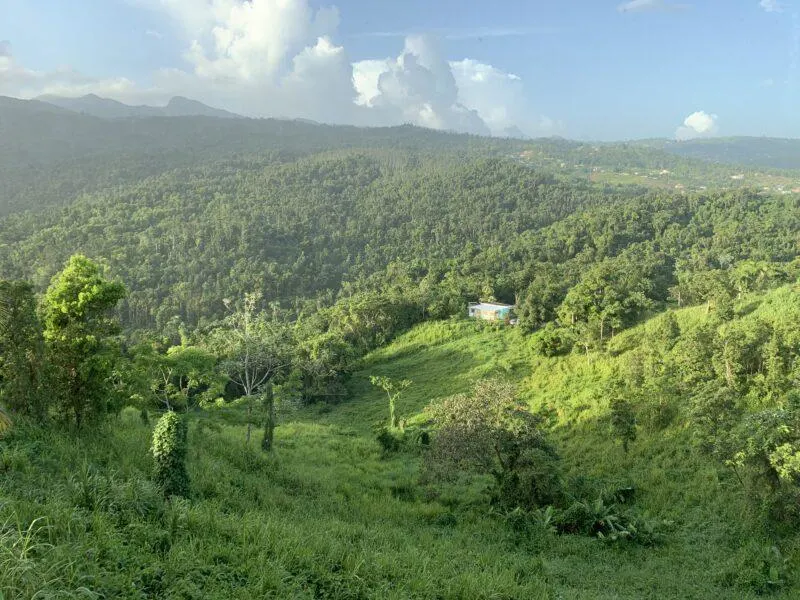 View of El Yunque Rainforest