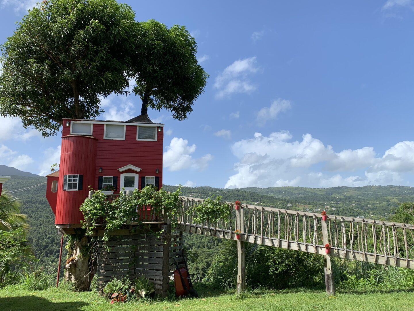 Treehouse built around a mango tree