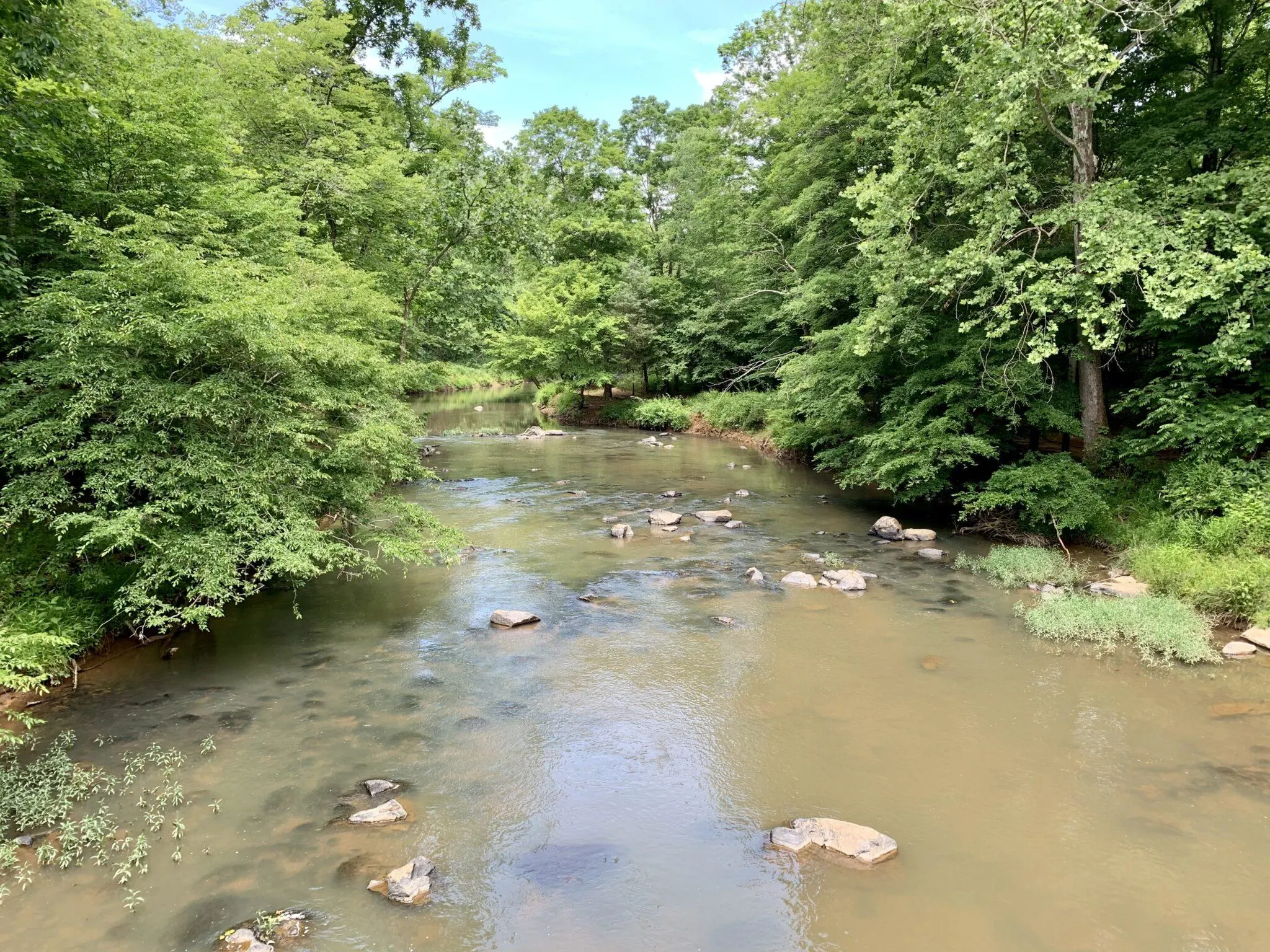 River and trees