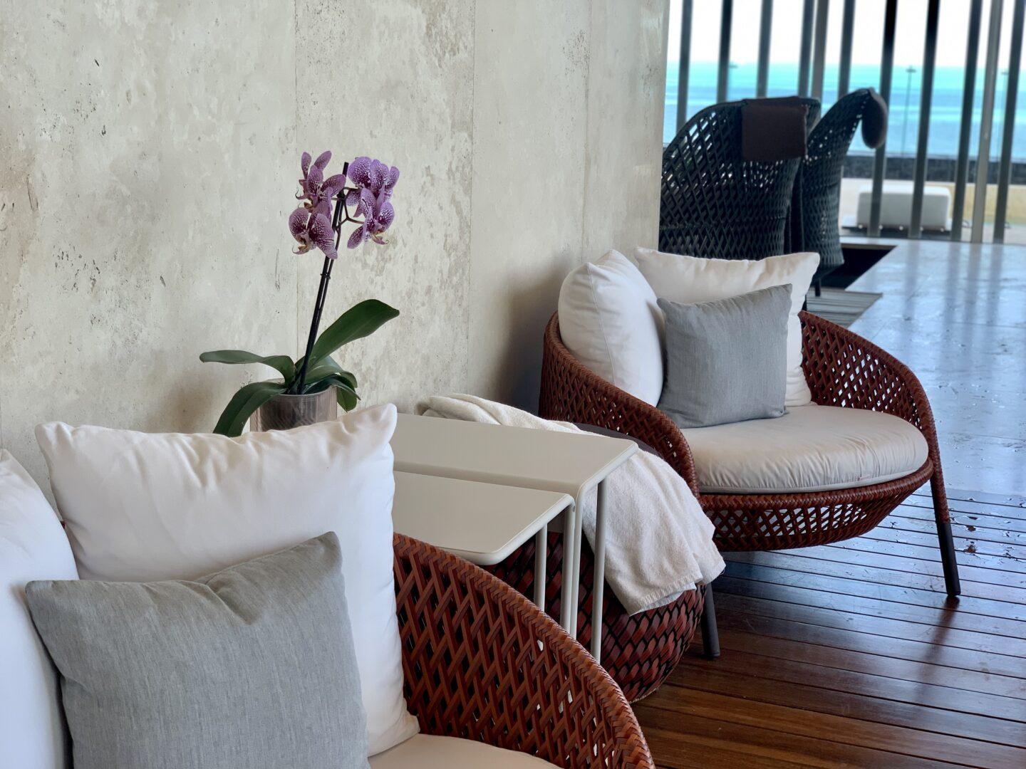 Chairs with orchid on table in between