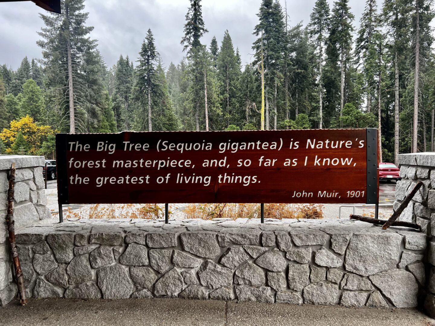 John Muir quote about sequoia trees