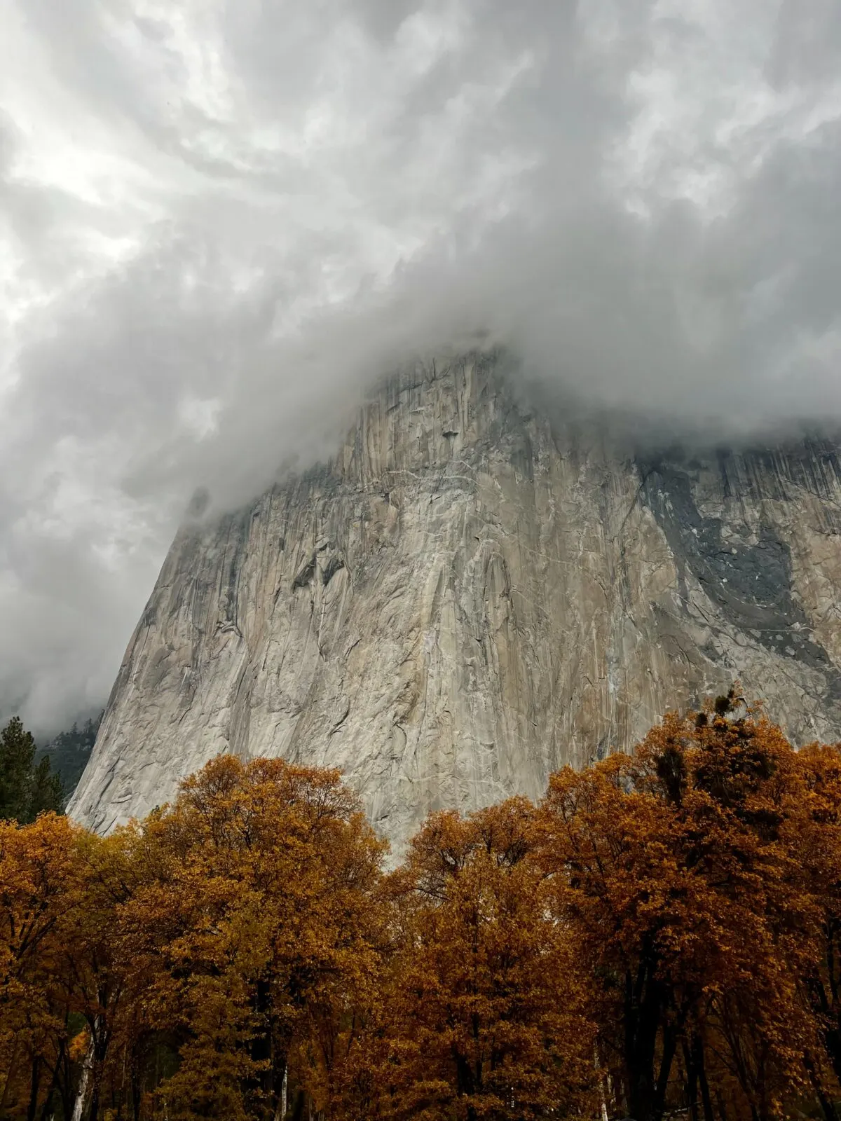 Mountain covered by clouds at the top